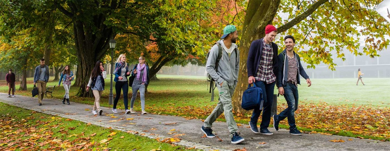 Students walking down sidewalk in the fall.