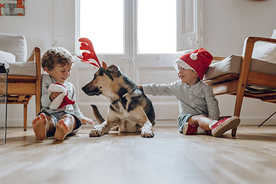Boys playing with their dog wearing reindeer horns.
