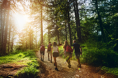 group hiking in the woods
